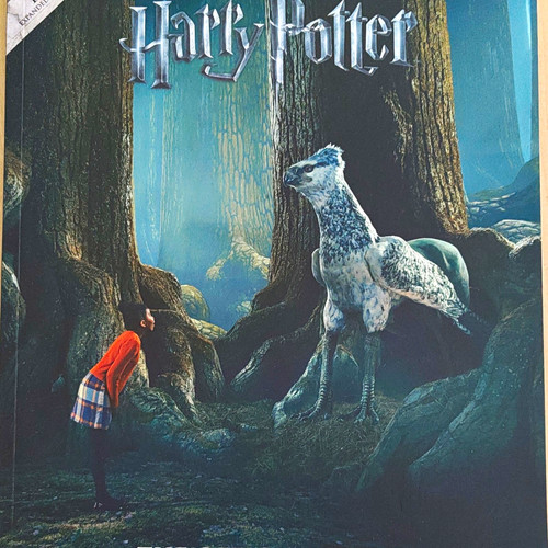 Harry potter warner bros - harry,