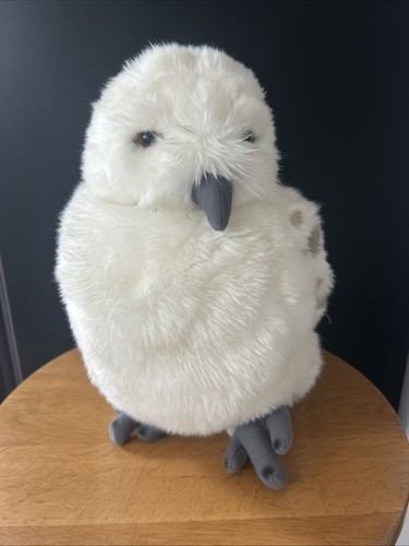 Hedwig universal studios harry - universal,