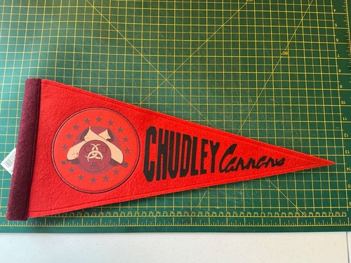 Harry potter chudley cannons - potter,